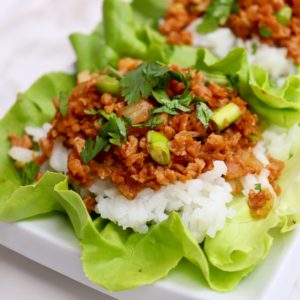 Picture of how-to-make-asian-lettuce-wraps-vegan-low-fat-blog-mostly-domestic-gluten-free-food